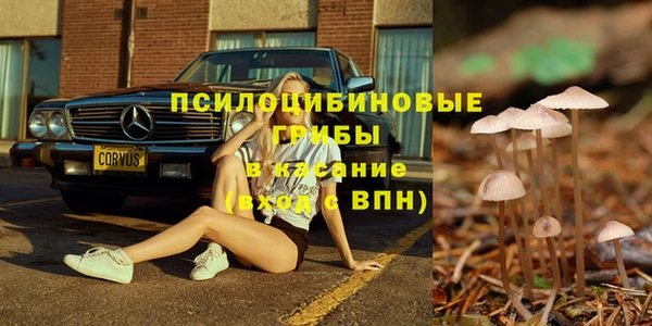 мдпв Няндома