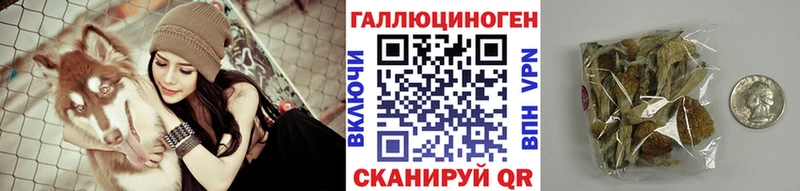 где купить наркоту  Сольвычегодск  Псилоцибиновые грибы Magic Shrooms 